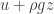 u+\rho g z
