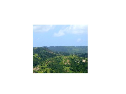 Barbados