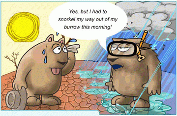 groundhogcartoon